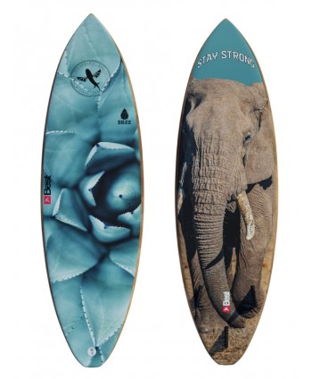 Kite lentos Elephant